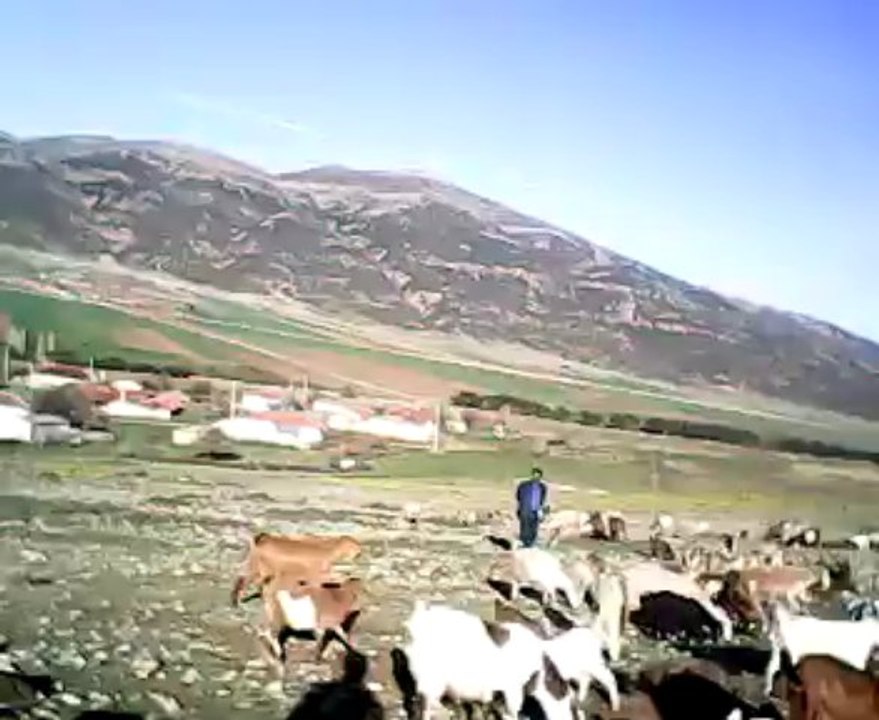 VID_20130329_164807