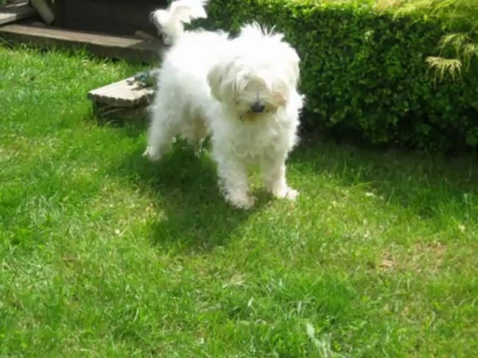 emmy sur hubwin mamans