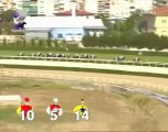 at yarışı 2007 gazi koşusu