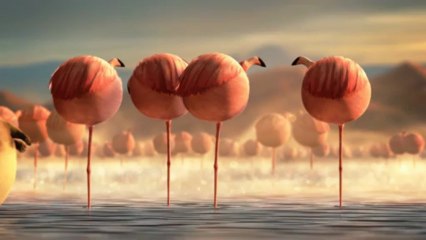 Fat animal creative animation