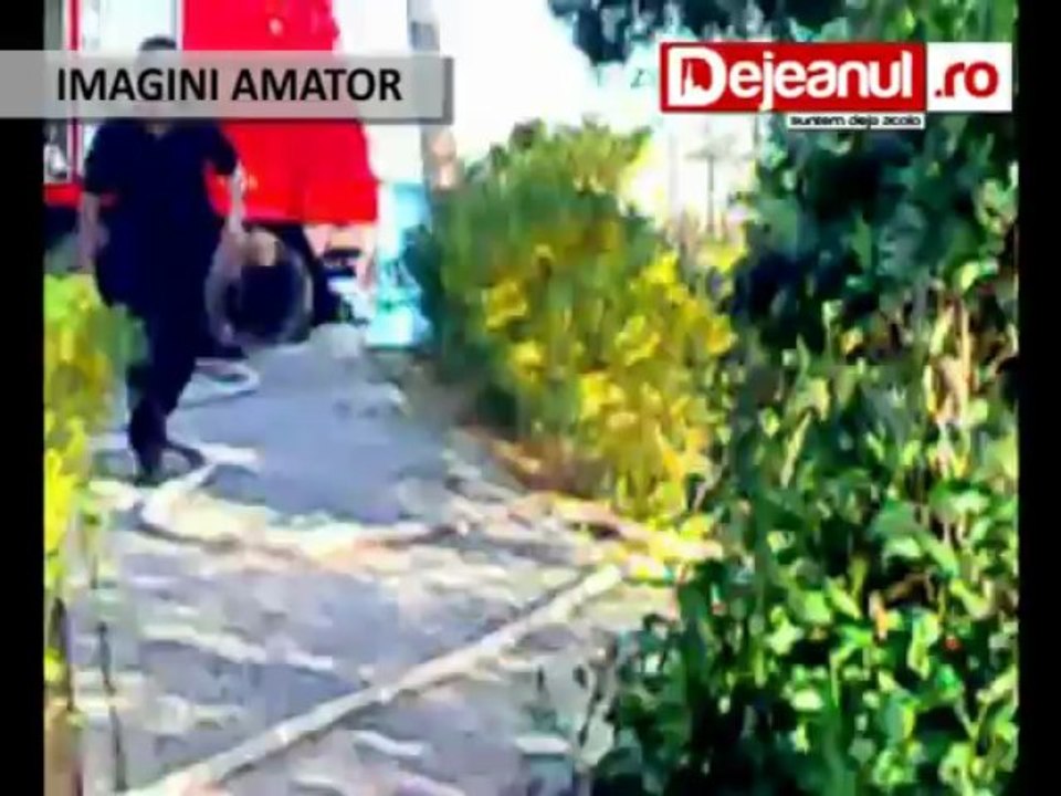 incendiu gladiolelor