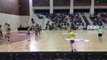 Arrêt Pierson / Issy-Paris - Metz / Demi-finale LFH handball