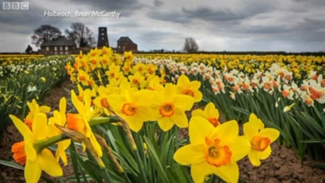 BBC Look North - Yorkshire & Lincolnshire - 23/4/13