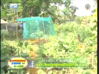Ilocos small business (mar-31-2013)