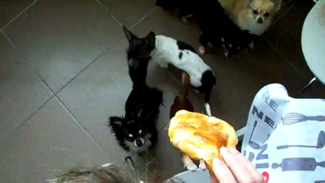 Hummm! Les croissants!
