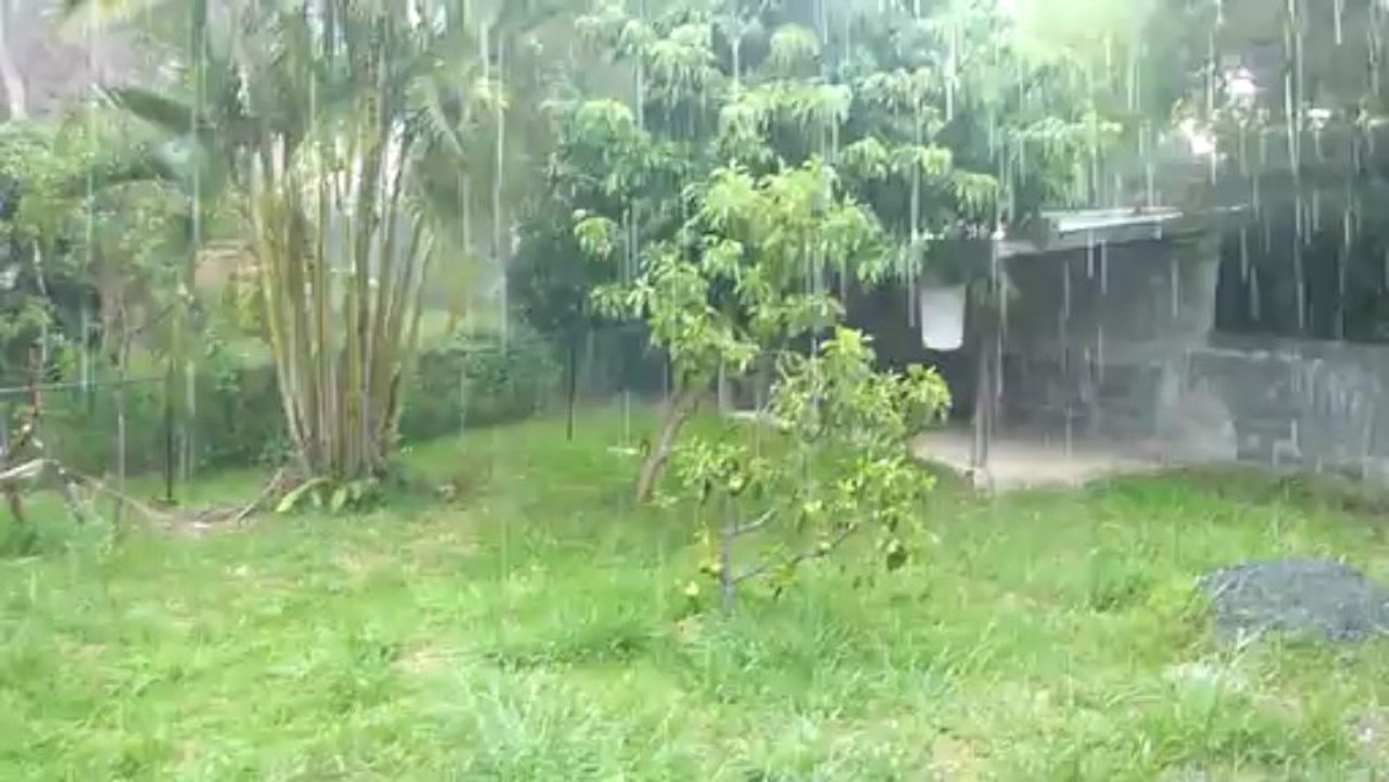 pluie