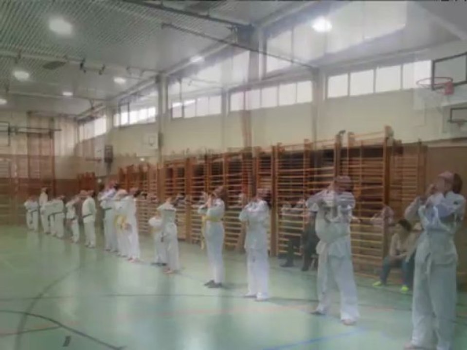 Training im Kampfkunstzentrum Burgenland