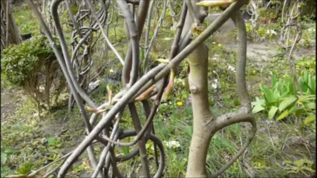 Jeudi 18 Avril 2013 Sculptures-Vivantes Chap 2