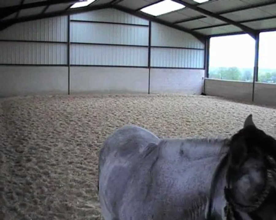 26 avril 2013 mise en avant  allongements et 1 changement pieds