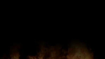 Firehouse Subs Co-Founders Our Story: FACTS CHECKER