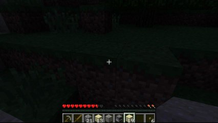 Skynxer plays Minecraft part 8