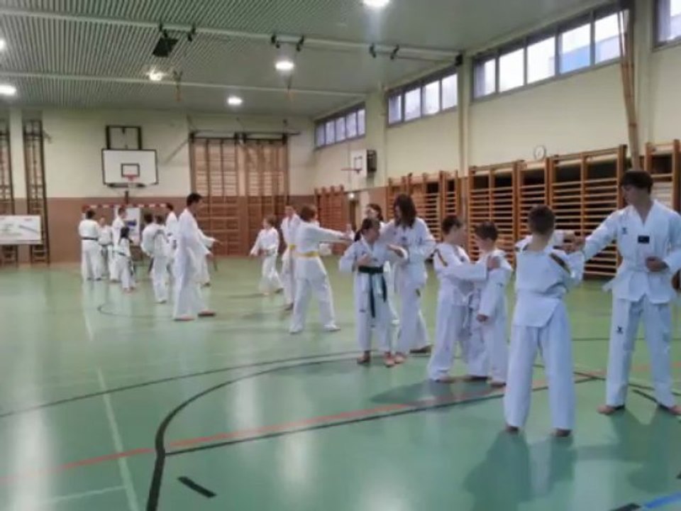 Trainingsausschnitte  des Kampfkunstzentrums Burgenland