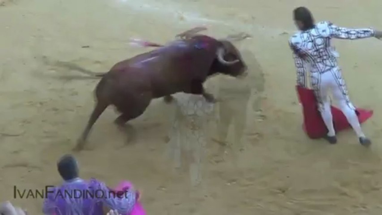 FANDIÑO EN LA GOYESCA DE CACERES