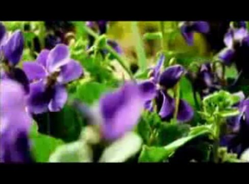 Öyle Gel ki_ ARZU KARADOĞAN yorumuyla İHSAN TURHAN ŞİİRİ