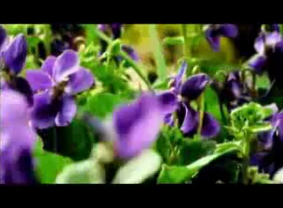 Öyle Gel ki_ ARZU KARADOĞAN yorumuyla İHSAN TURHAN ŞİİRİ