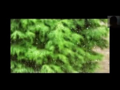 Rüya Gibi_ARZU KARADOĞAN yorumuyla RASİM YILMAZ ŞİİİR