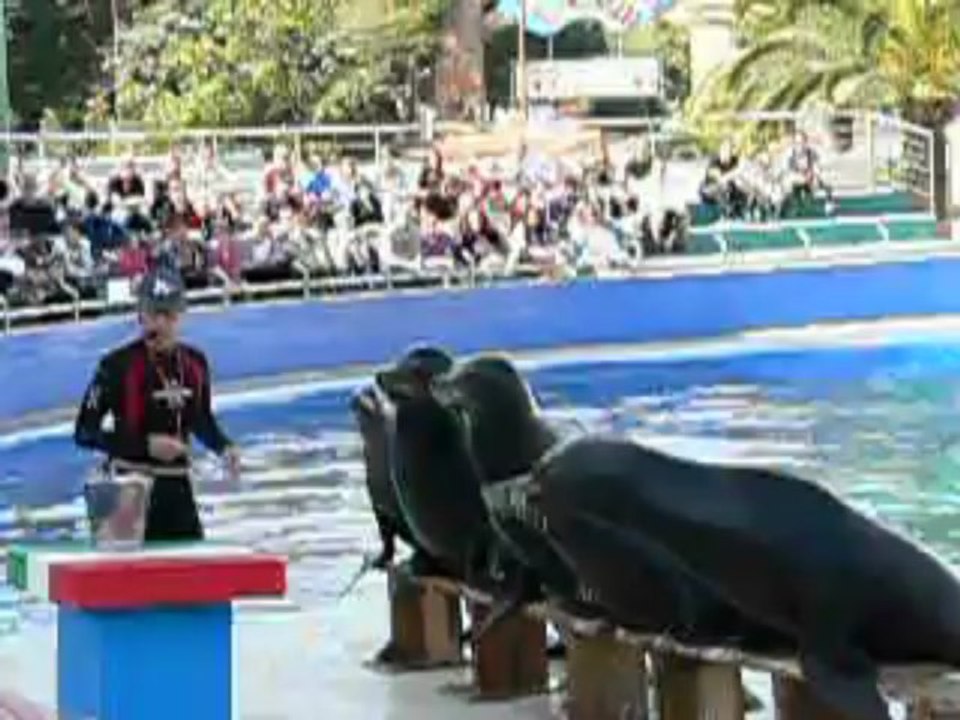 marineland1