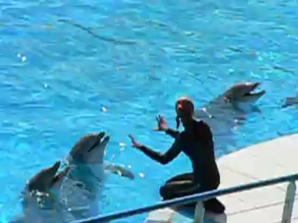 Marineland3