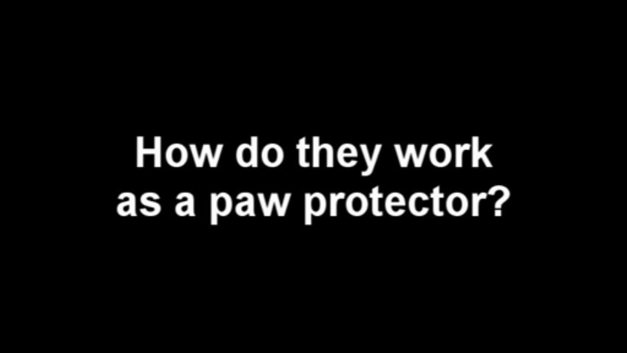 Paw Protection Test for Grippers Dog Socks