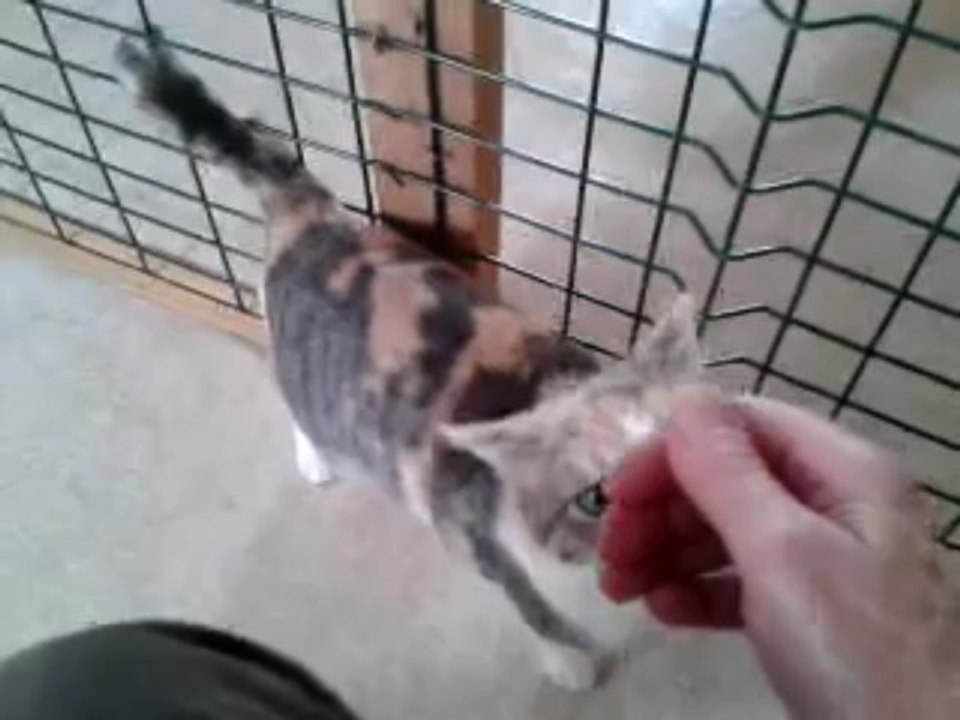 ALMA video-2013-04-18-16-35-14