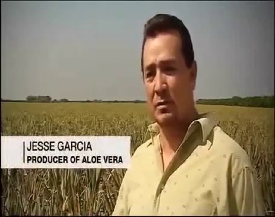 Fabrication du Gel d'Aloe vera a boire mélangé a du miel par LR Health Beauty Systems.
