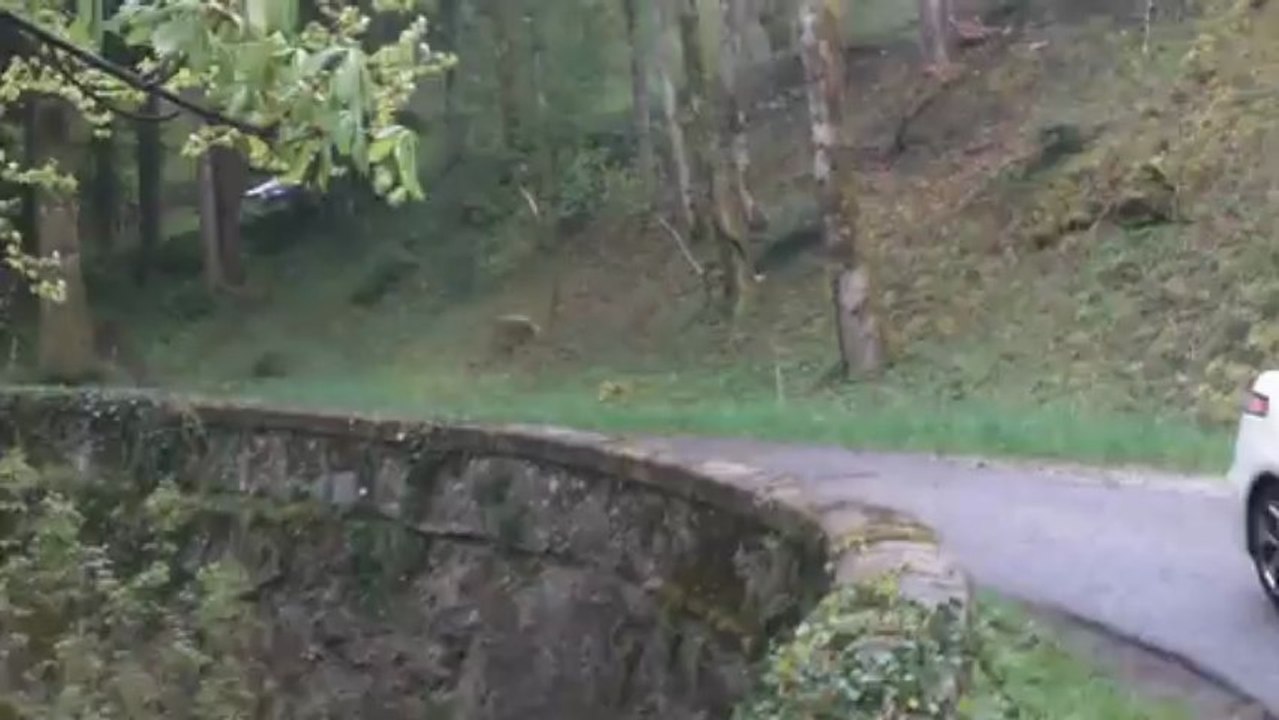 Rassemblement 2013 Amperiste.fr - Redescente du château de Menthon