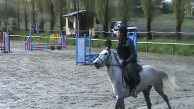 Toska Loris 1er parcours hunter, 1er concours de la saison 2013!!! ;)