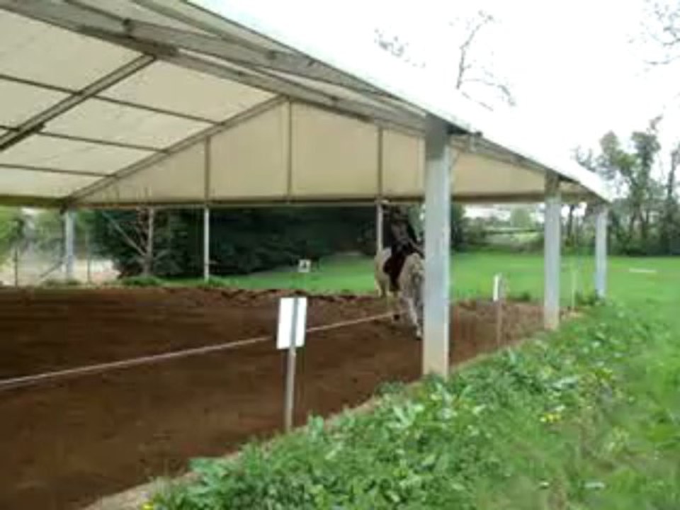 CONCOURS 28-04-13 - ECURIES DE LA POTERIE 009