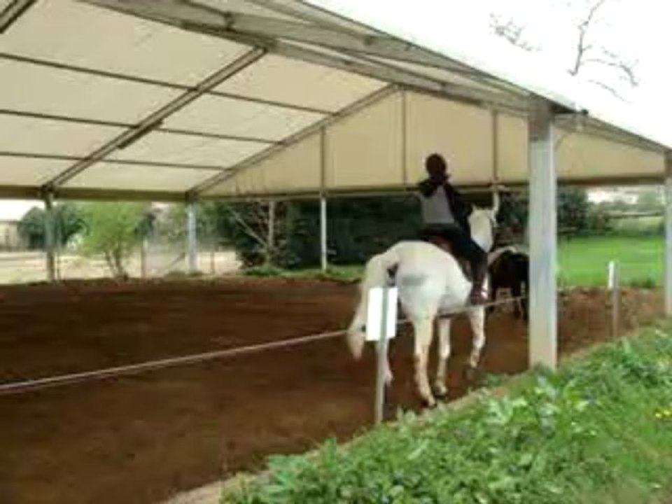 CONCOURS 28-04-13 - ECURIES DE LA POTERIE 010