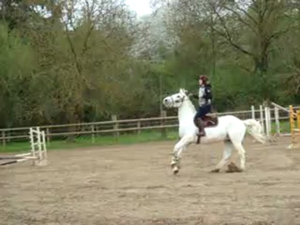 CONCOURS 28-04-13 - ECURIES DE LA POTERIE 016