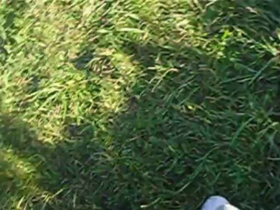 Marc Minelli  "Love atomic"