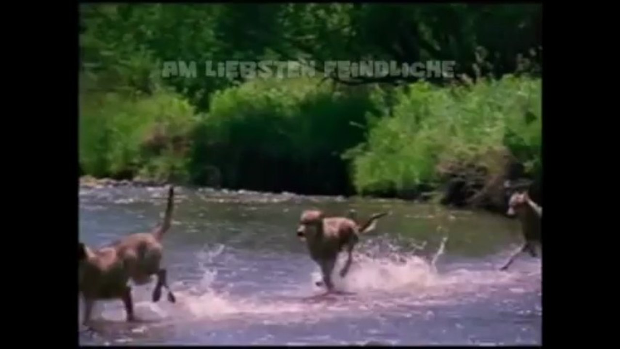 B day 2013 endfassung