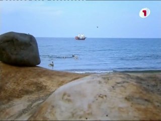 Laukine sirdis 13