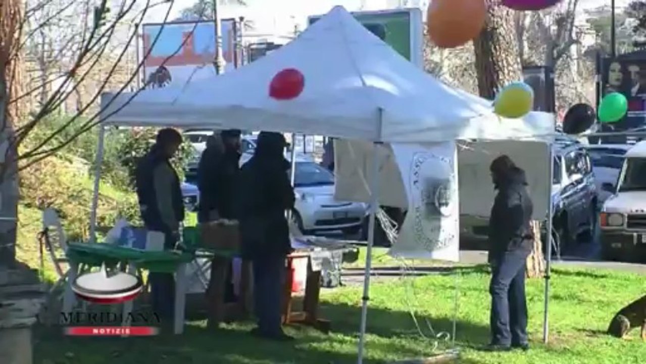 La rinascita del Flaminio inizia da un libro grazie ad Aref e a impegno consigliere Martelli