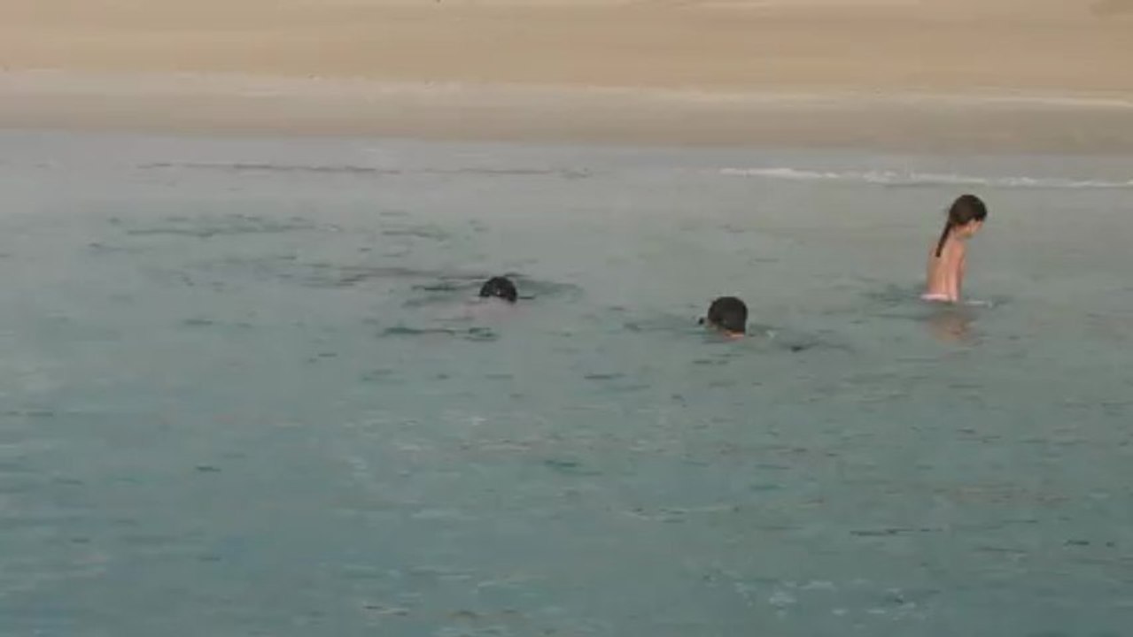 Snorkeling aux Galapagos V