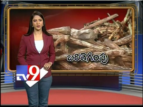 Red sandalwood smugglers attacks on police