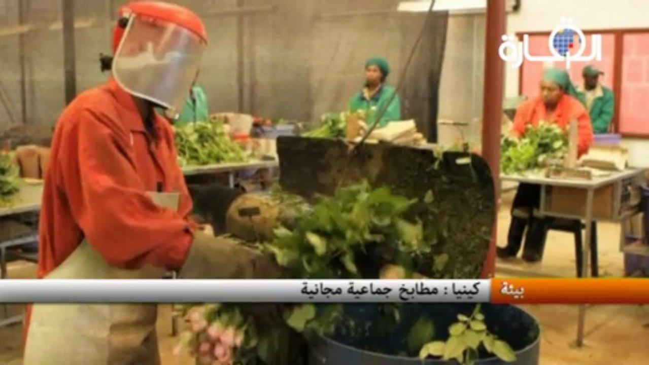 كينيا: مطابخ جماعية مجانية
