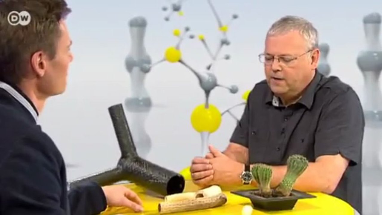 Talk: Was gibt es Neues in der Bionikforschung? | Projekt Zukunft