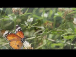 Boost Your Yields with Smart Strategies