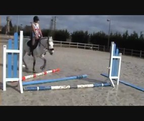 barres au sol cyrine avril 2013