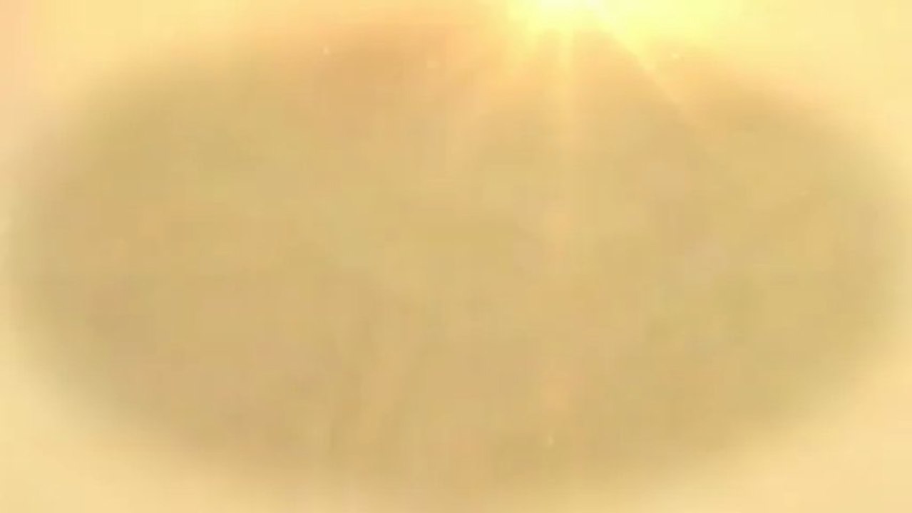 Why Most Web Designers Choose Chicago PHP Scripting Language