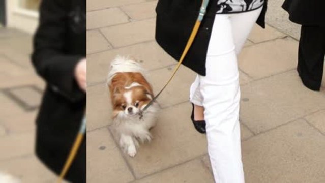 Sharon Osbourne's dog Maggie Passes Away