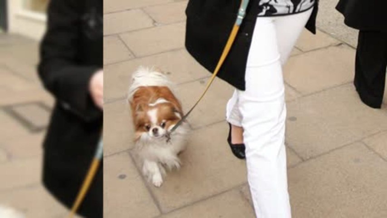 Sharon Osbourne's dog Maggie Passes Away