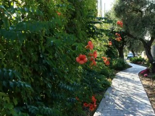 Villas auf der Insel Thasos