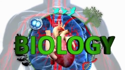 GCSE Biology Revision Videos (New for 2013)