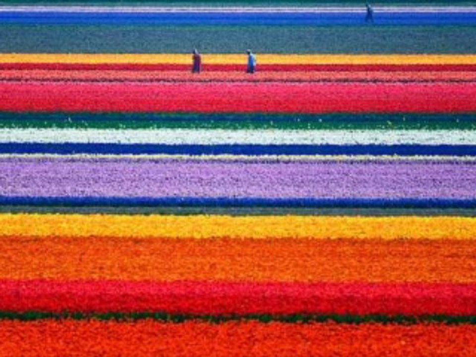24 avril