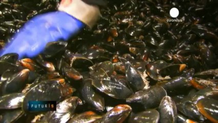Cozze più buone, riducendo gli sprechi