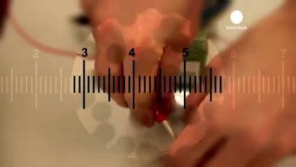 Hollanda'da bitkisel biyoyakıt denemeleri