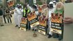 L'UE vote pour interdire trois pesticides tueurs d'abeilles