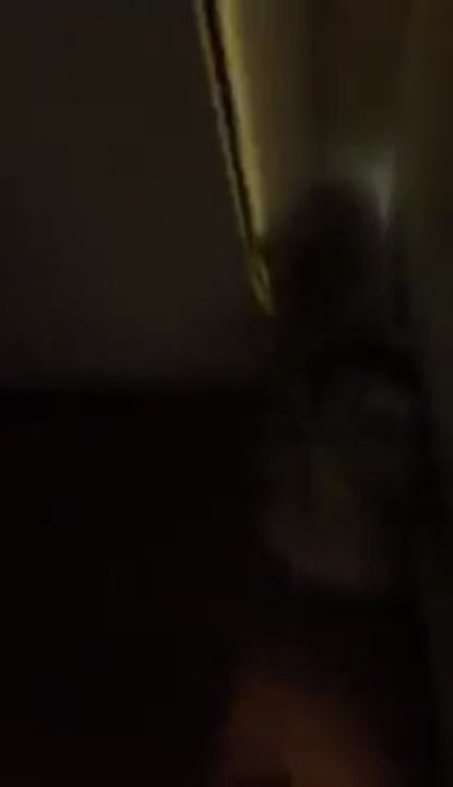 Precia Bear is excited to get out of the appartment